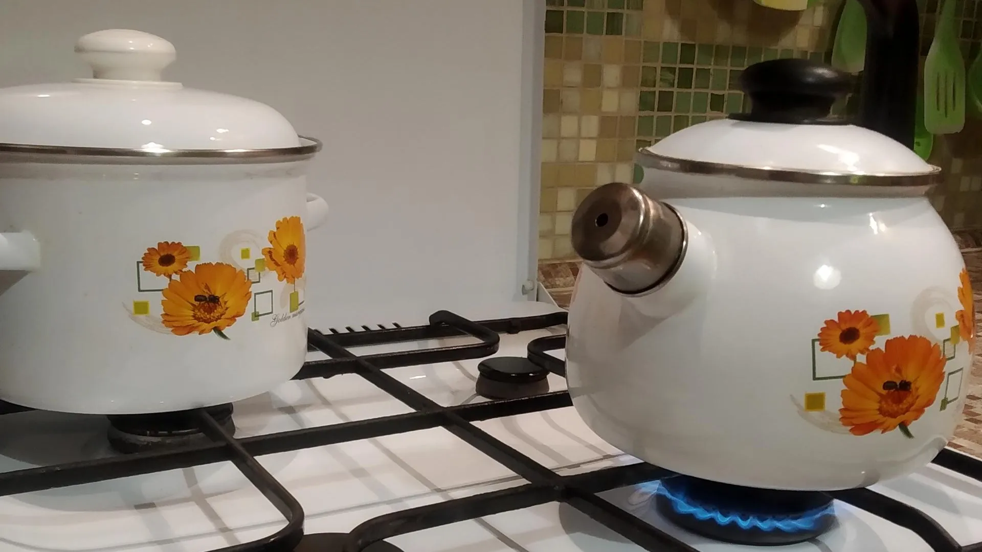 Фото: Татьяна Синельникова