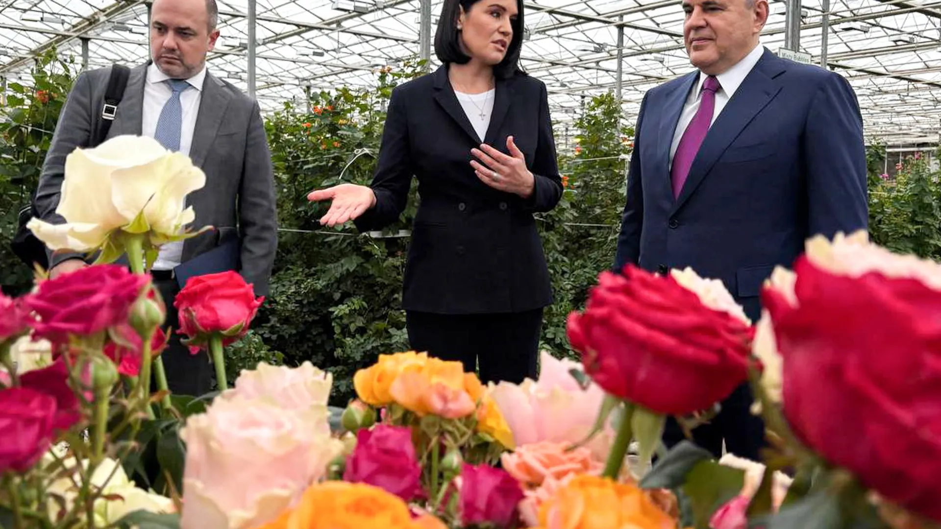 Фото: ТАСС/Анастасия Савиных