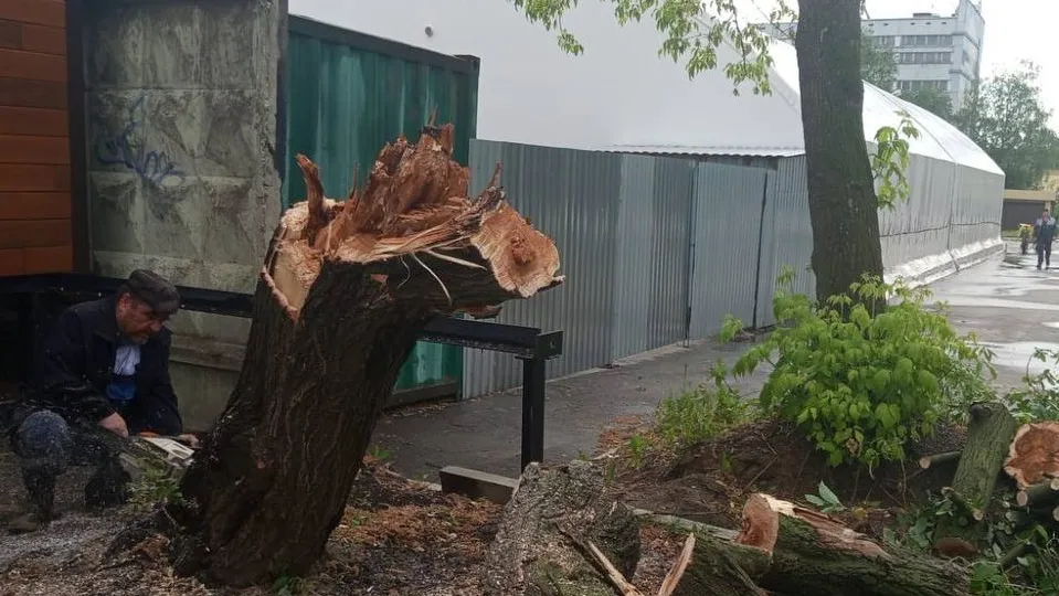 Фото: t.me/AnnaKrotova_Lobnya