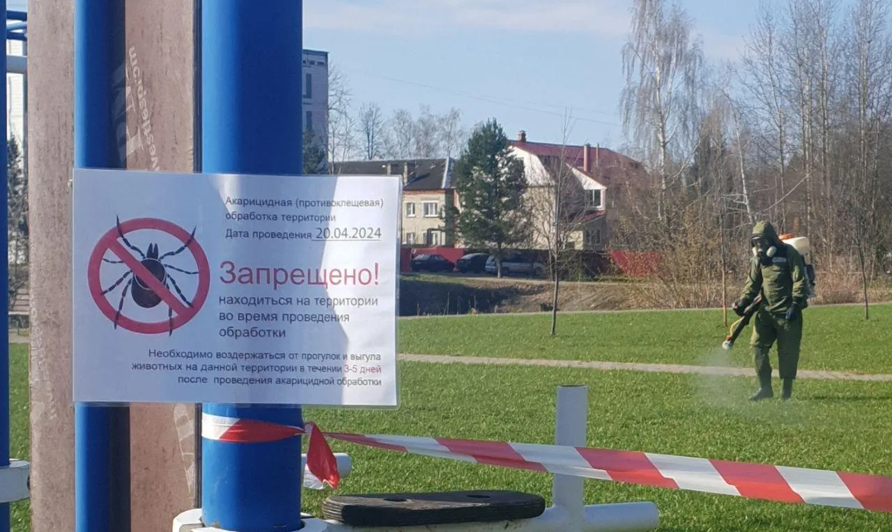 Фото: пресс-служба Министерства благоустройства Московской области