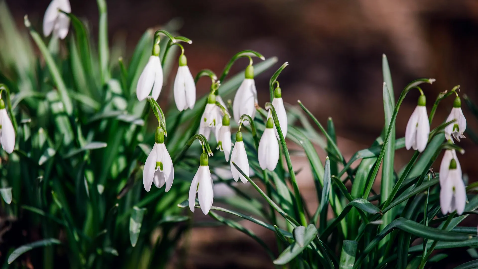 медиасток.рф