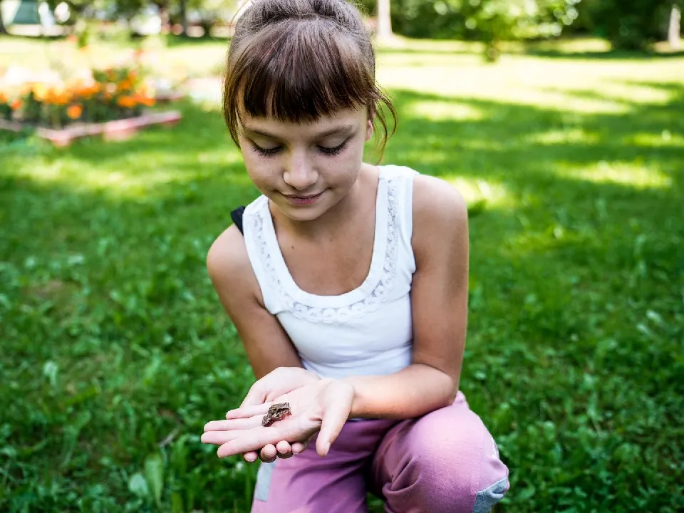 Фото: медиасток.рф&nbsp; &nbsp; &nbsp;
