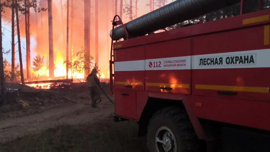 Комитет лесного хозяйства МО