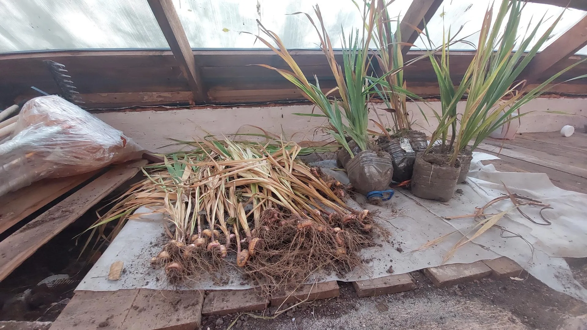 Татьяна Афанасьева