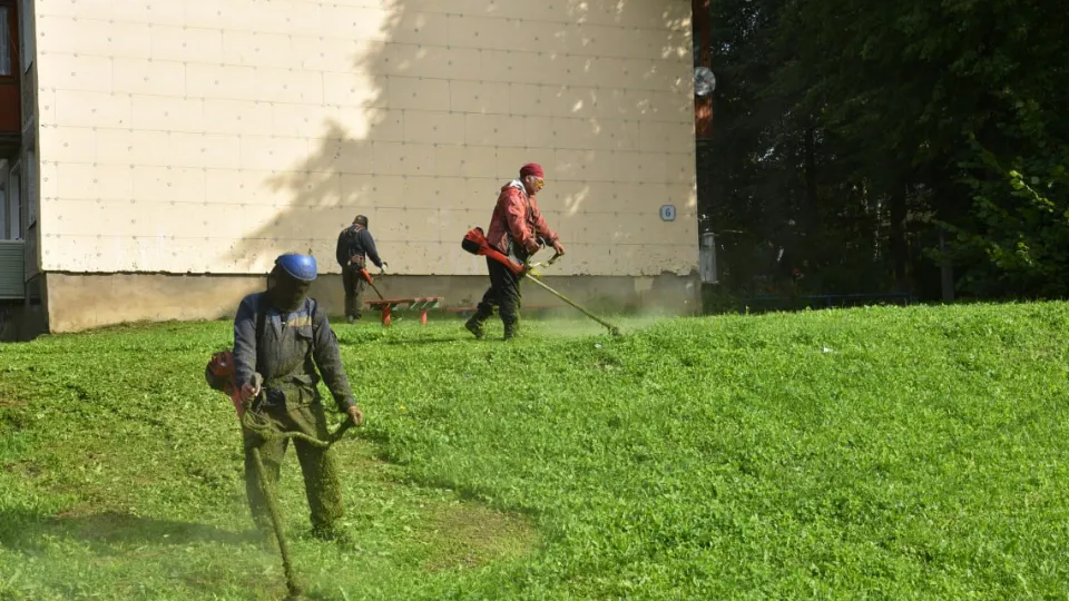 Фото: t.me/lotoshino_go