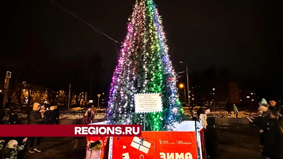 Фото: МедиаБанк Подмосковья/Данила Кирьянов