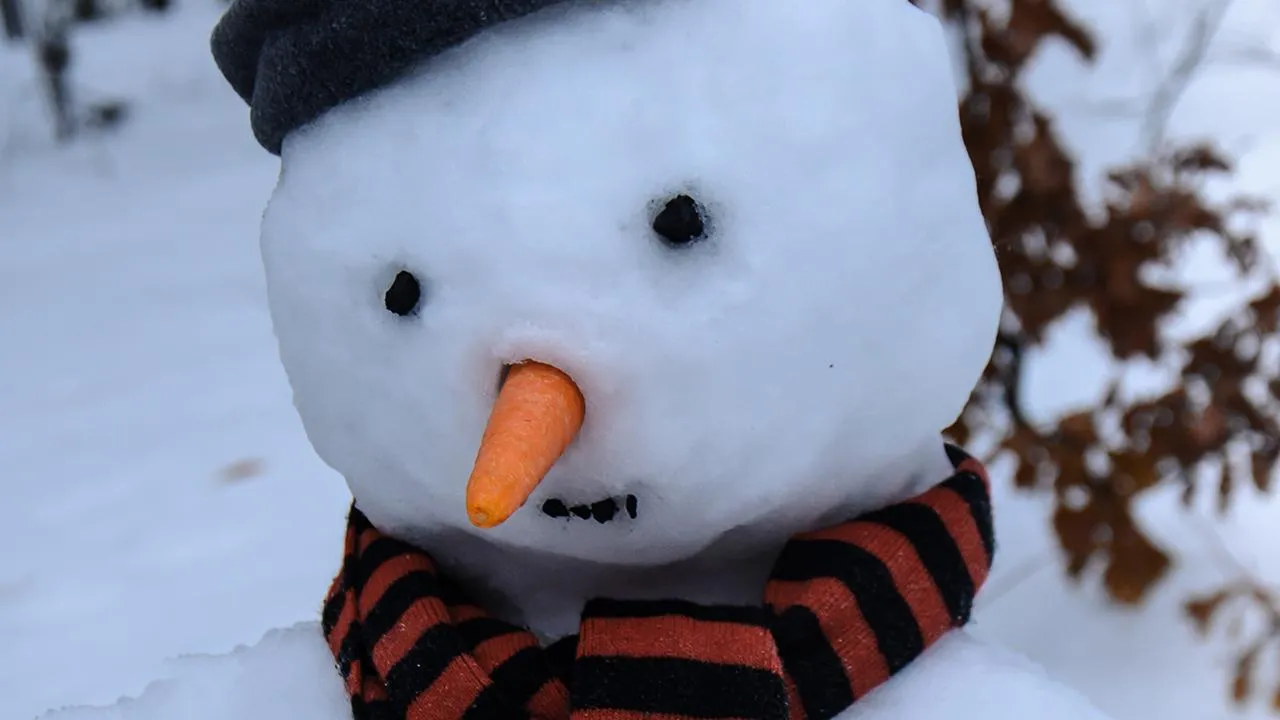 istockphoto.com/aga7ta