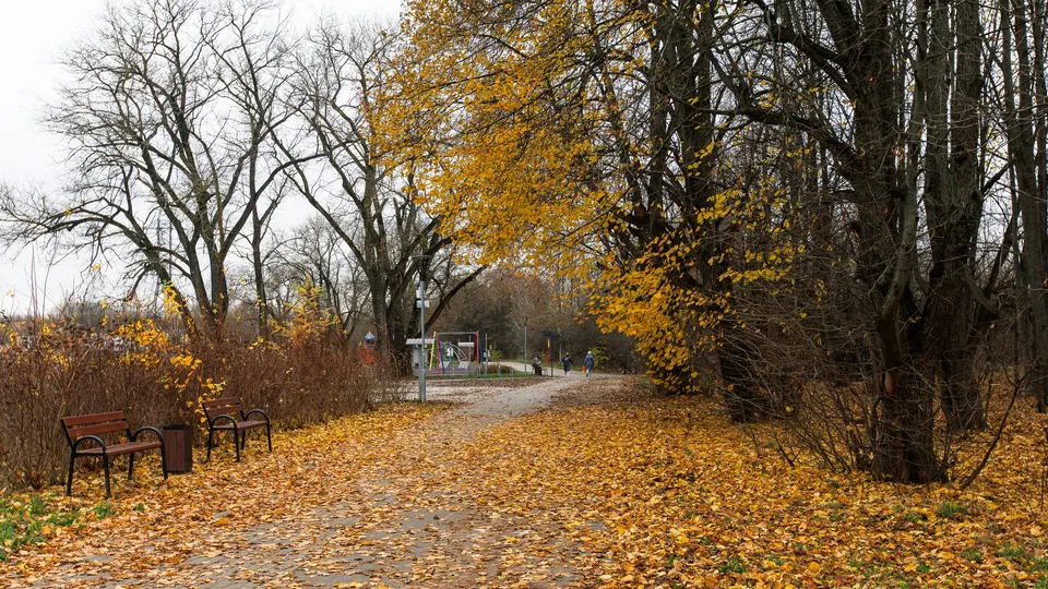 Фото: медиасток.рф