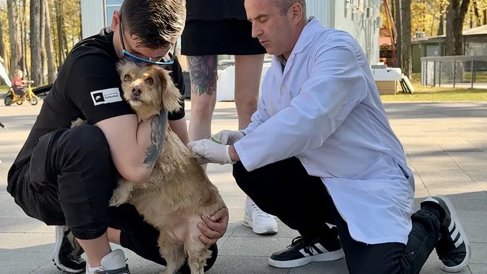 Фото: REGIONS/Ольга Стаферова