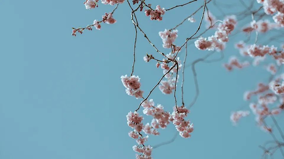 Фото: unsplash.com