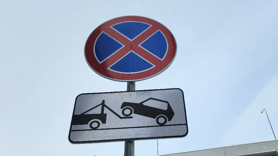 Фото: МедиаБанк Подмосковья/Анастасия Сараева