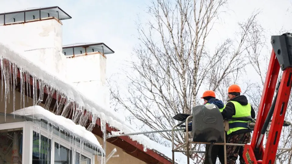 Фото: пресс-служба администрации г.о. Волоколамск