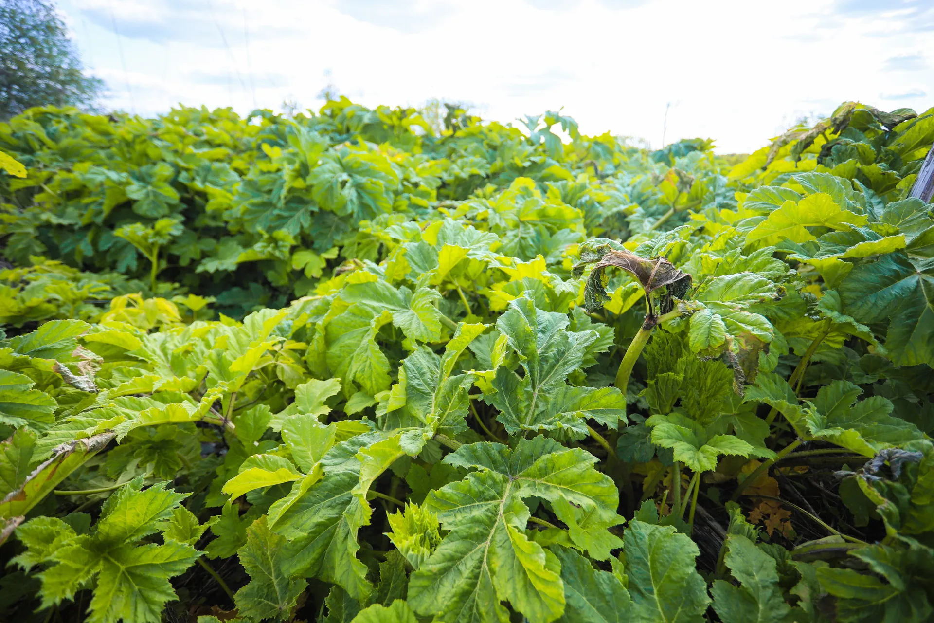 Фото: пресс-служба администрации г.о. Шатура&nbsp;