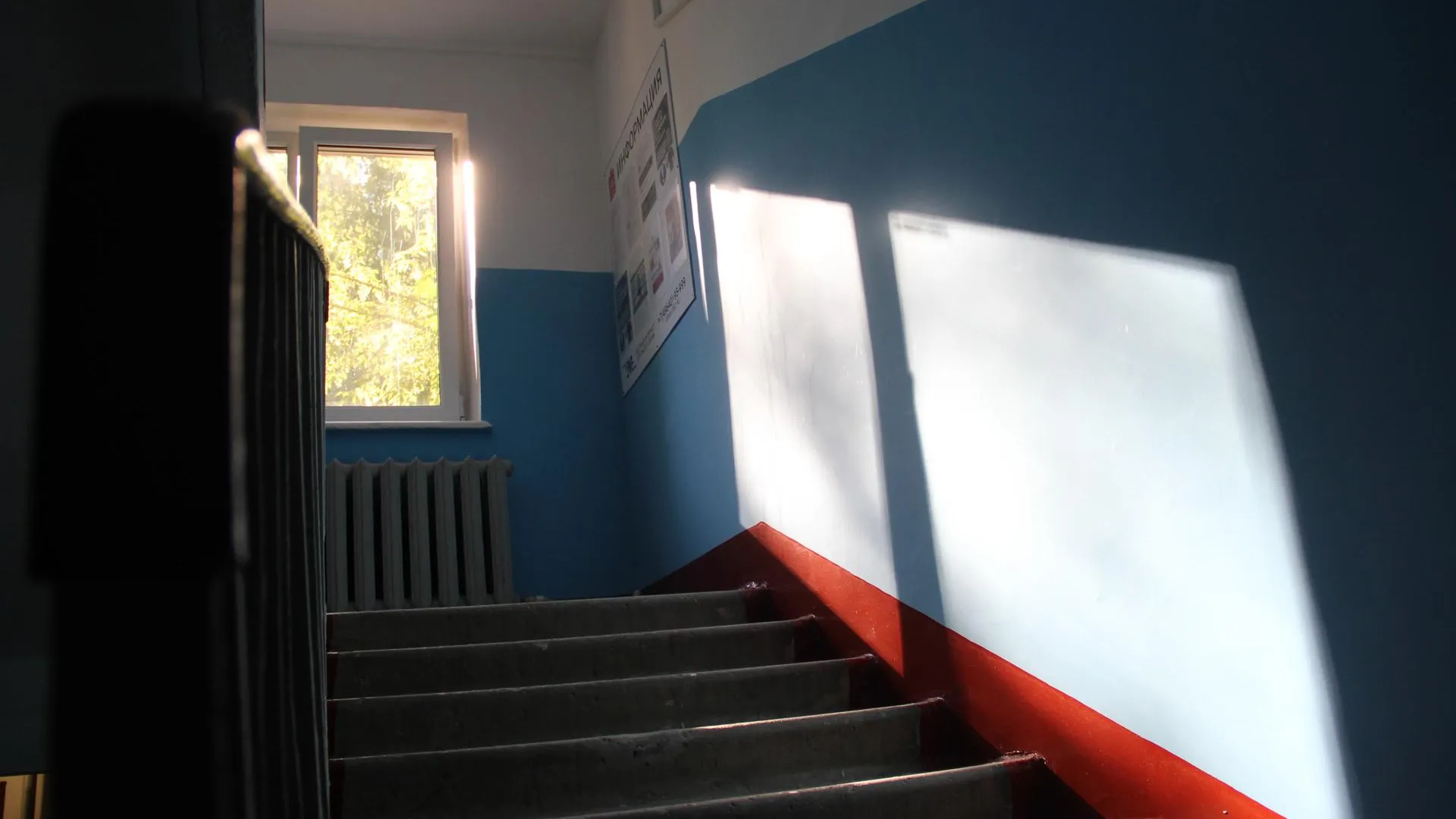 Фото: Василий Тремасов