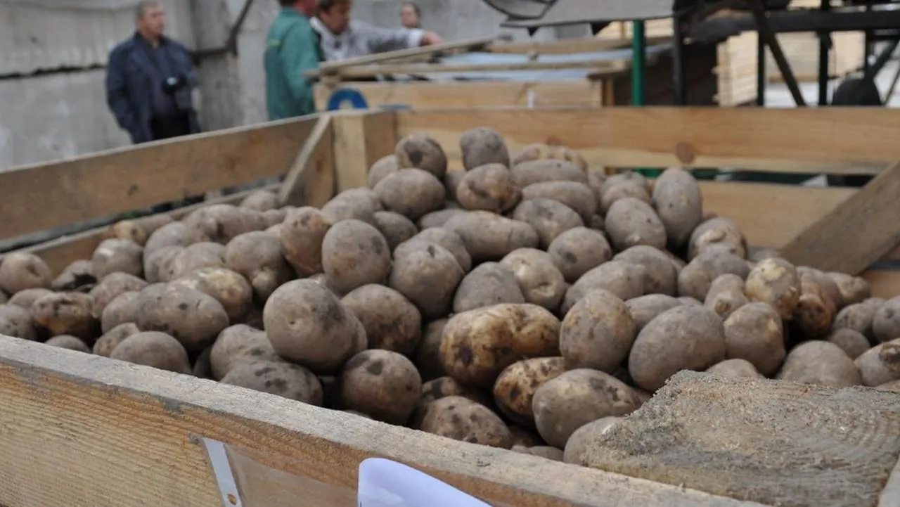 медиасток.рф