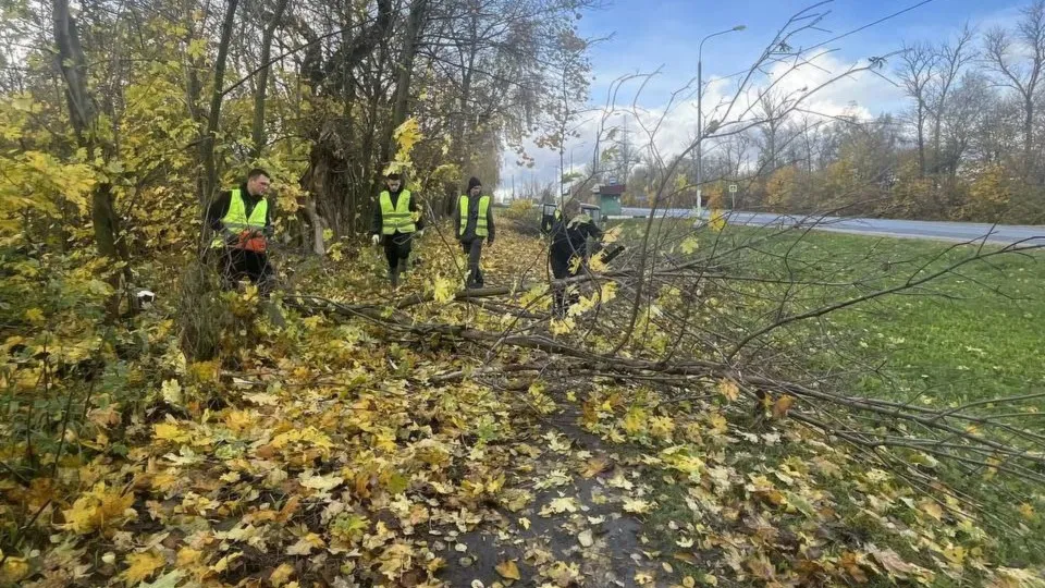 Фото: пресс-служба администрации г.о. Кашира