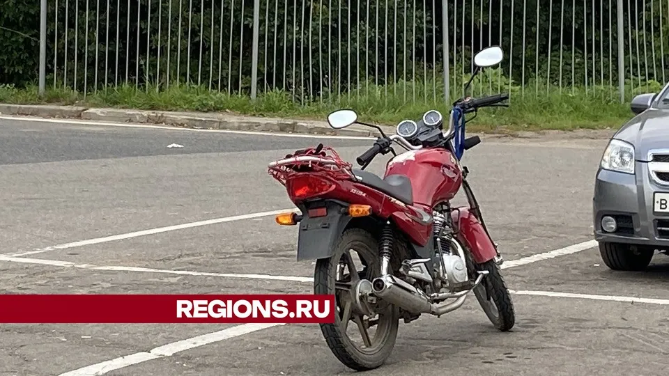 Фото: Светлана Борщева