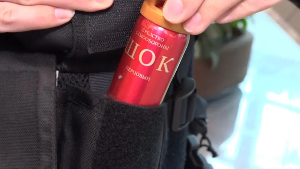 Фото: МедиаБанк Подмосковья/Наталия Надточая