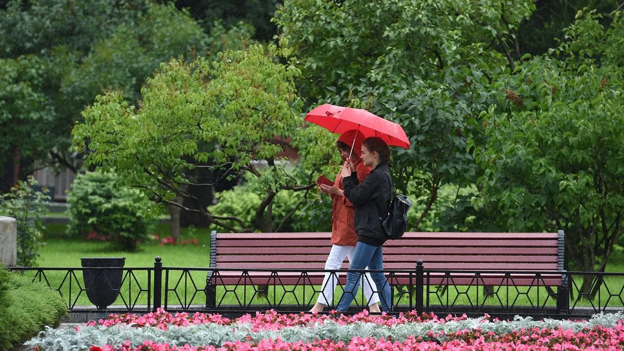 медиасток.рф