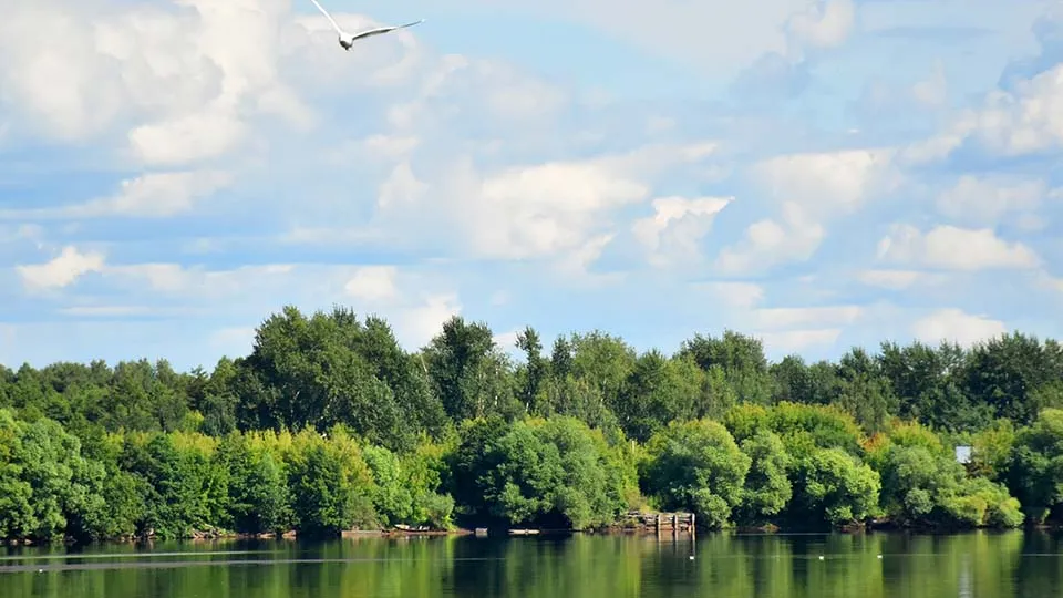 Фото: REGIONS/Оксана Лапшина