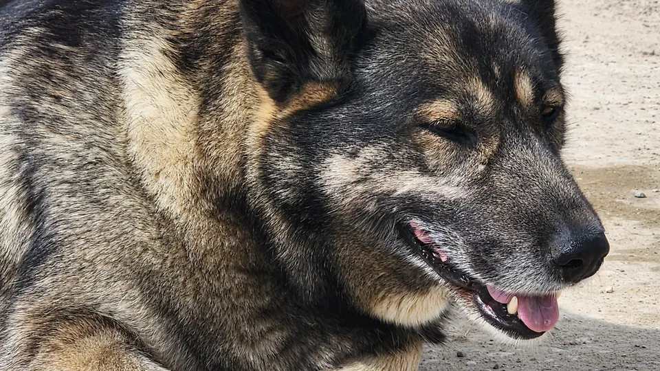 Фото: REGIONS/Наталия Надточая