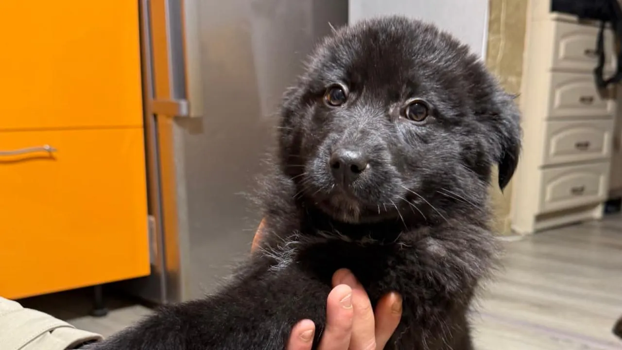 Марина Груздкова