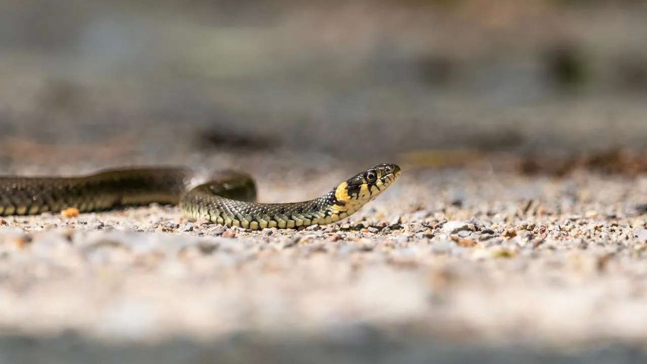 istockphoto.com/Dariusz Banaszuk