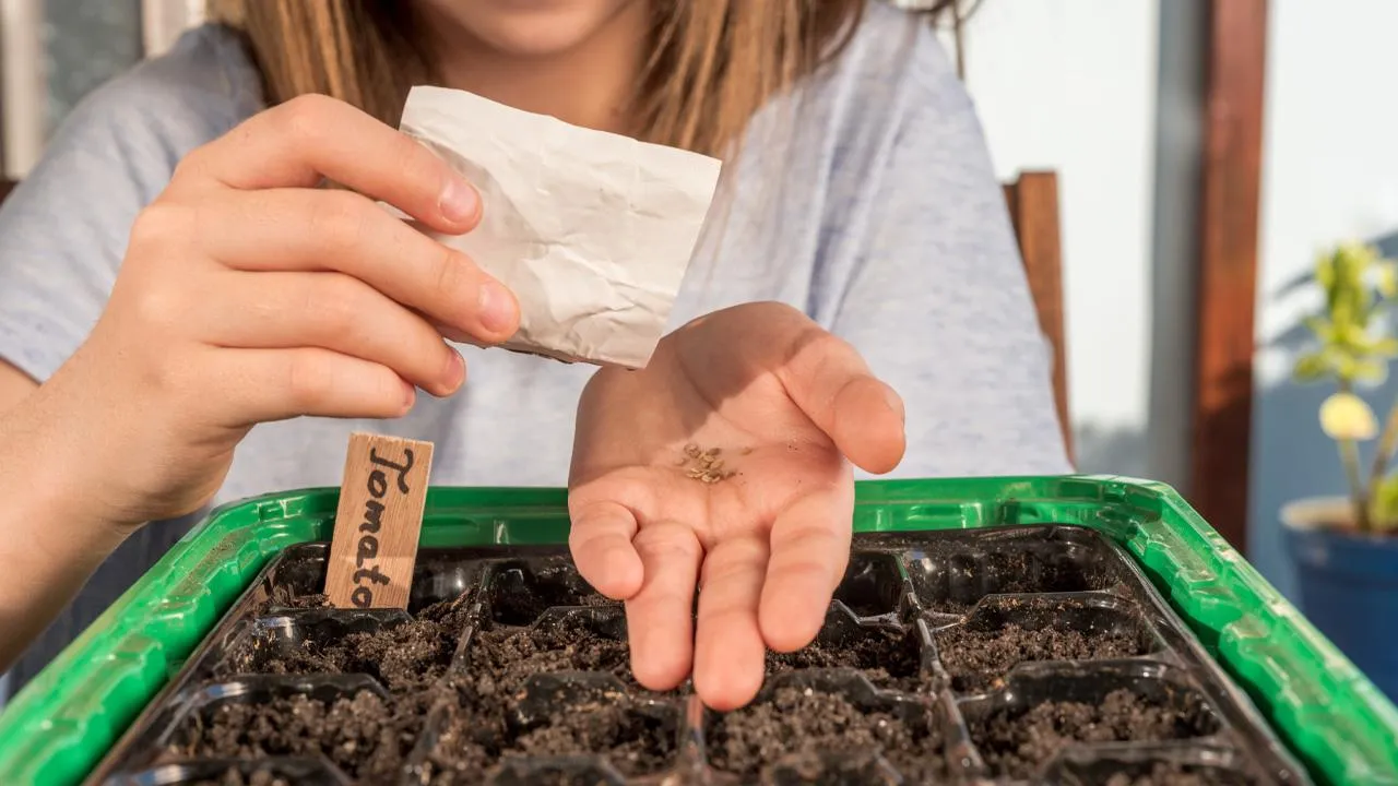 istockphoto.com/HMVart