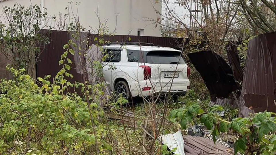 Фото: t.me/mosoblproc