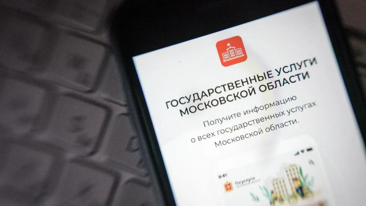 На сайте госуслуг Подмосковья с начала года подали 1,2 тыс заявок на регистрацию социальных предприятий