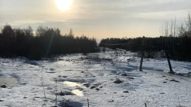 Участок на торгах в Подмосковье