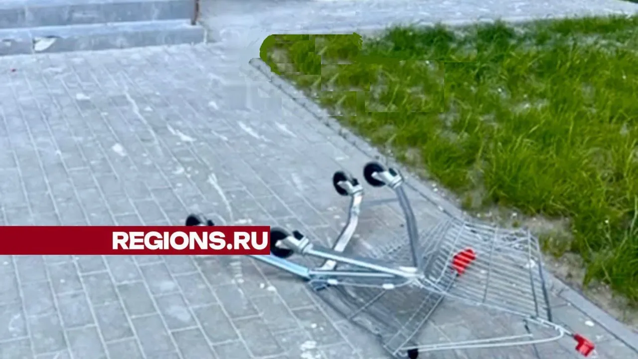 Фото: t.me/ru_balashiha