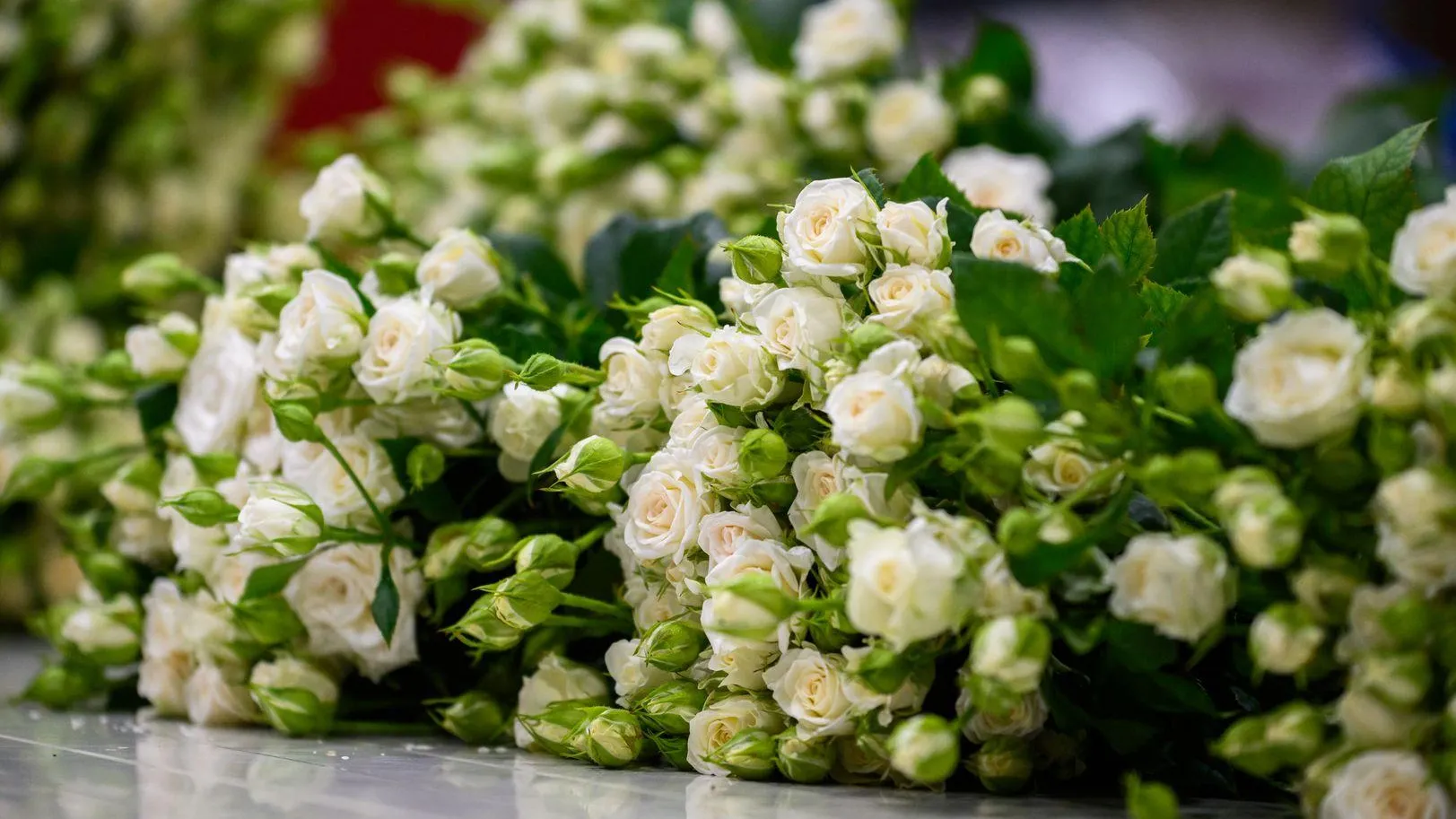 Медиасток.рф