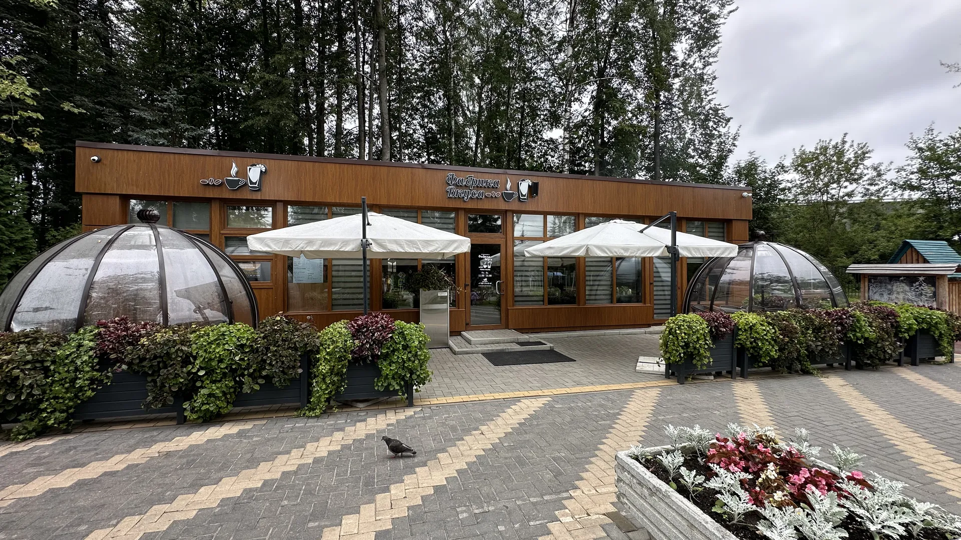 Фото: МедиаБанк Подмосковья/Вера Седова