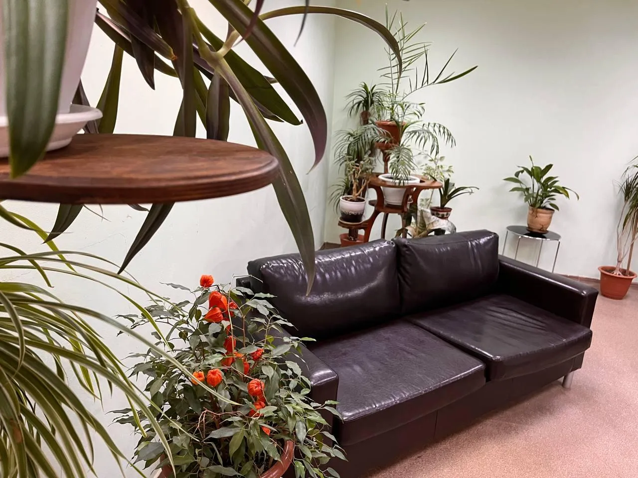 Фото: зона ожидания / Екатерина Данилина