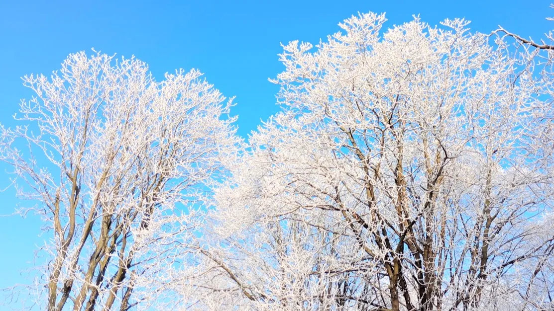 Фото: pxhere.com