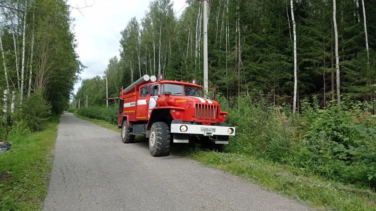 Фото: Комлесхоз МО