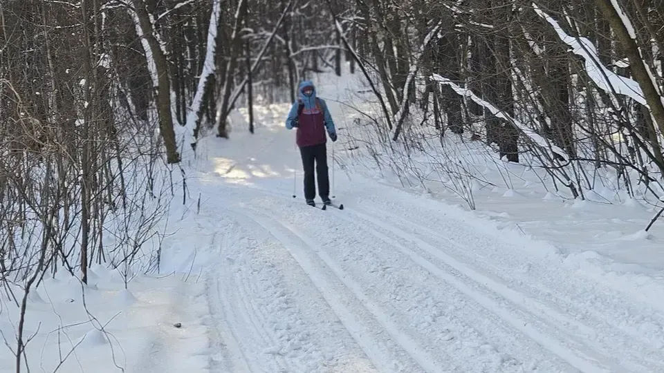 МедиаБанк Подмосковья/Ольга Вельшикаева
