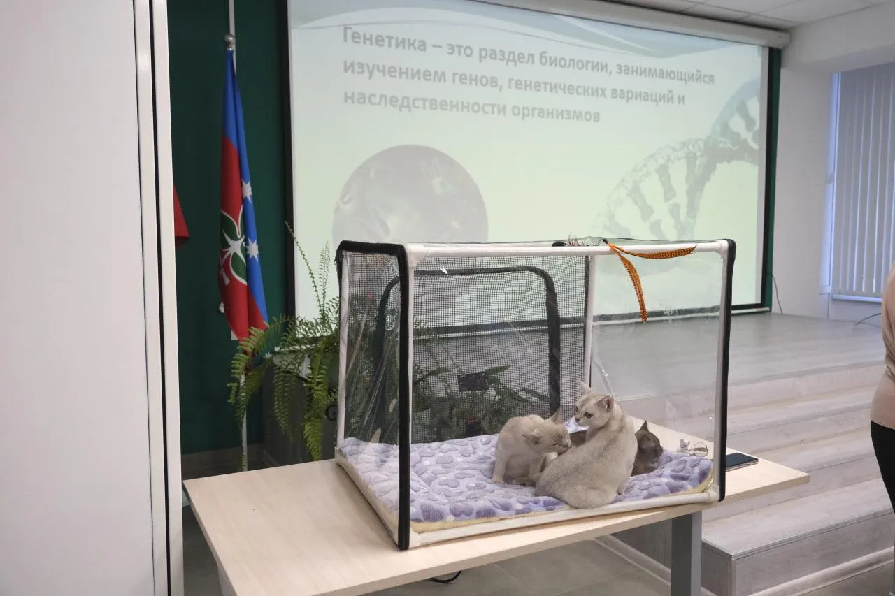 Фото: Мария Панина