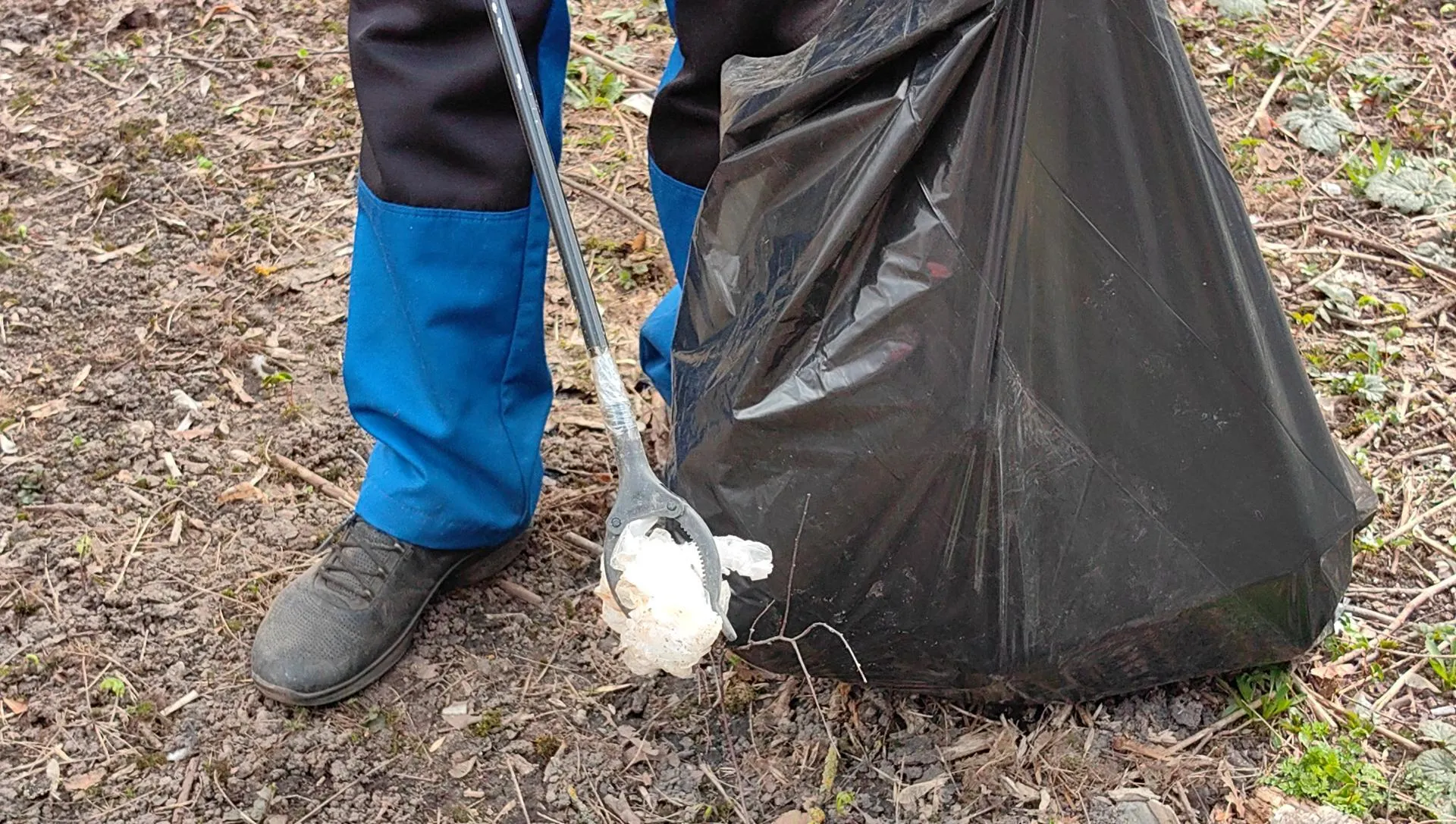 Елена Катасонова