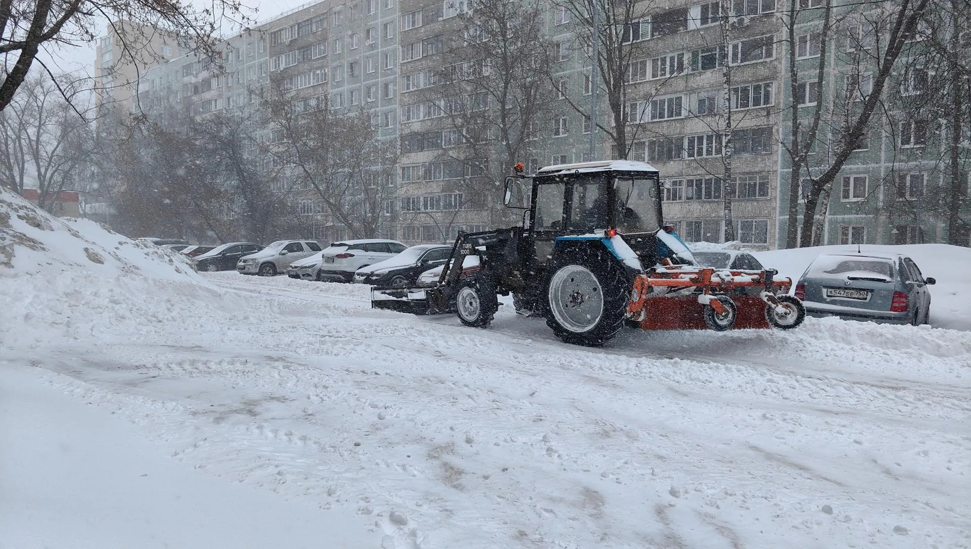 Елена Катасонова