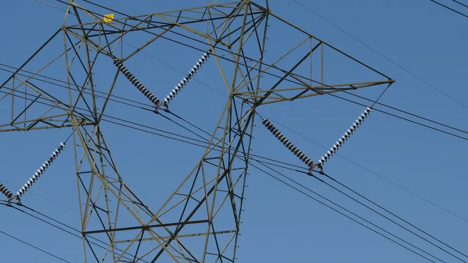 Фото: pxhere.com