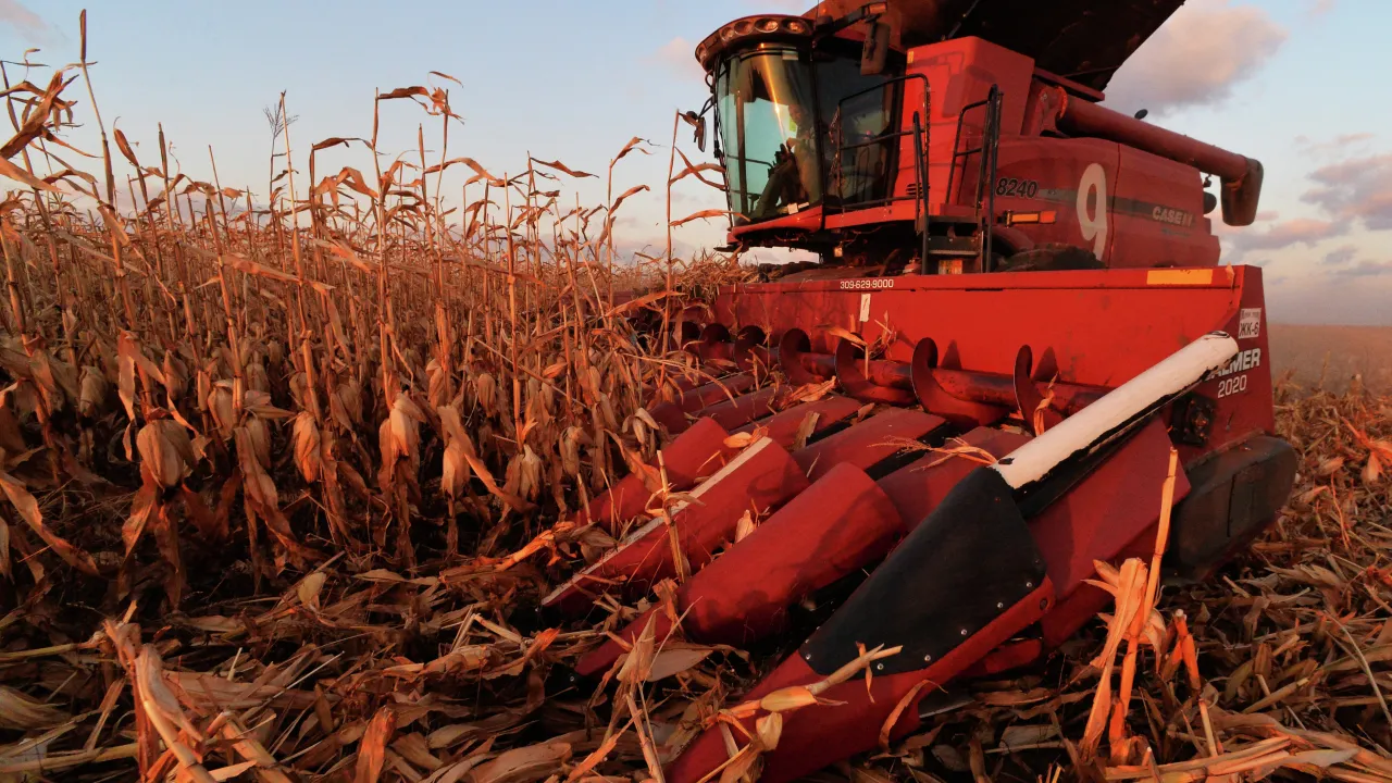 Фото: РИА/Виталий Аньков