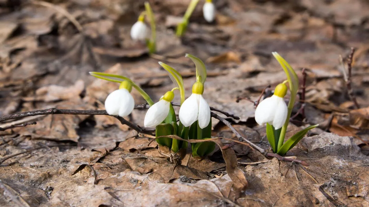 медиасток.рф