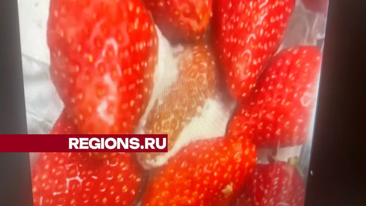 Фото: Таисия Городецкая