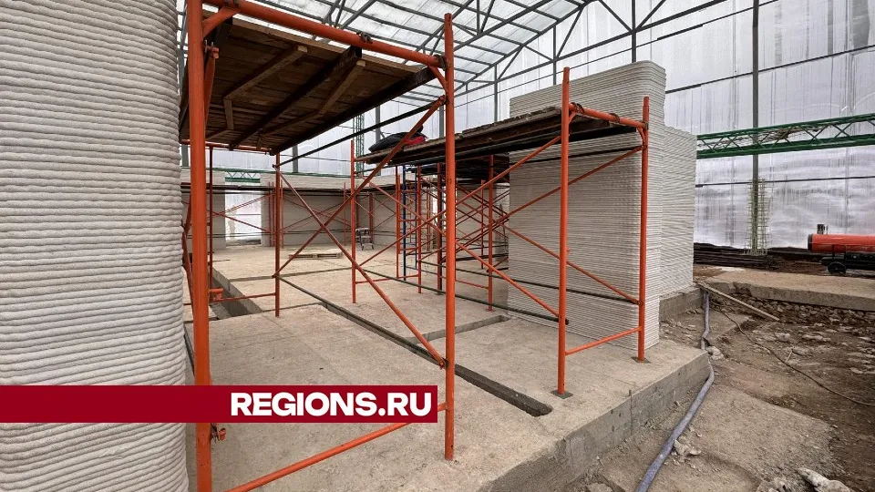 Фото: Мария Шматкова