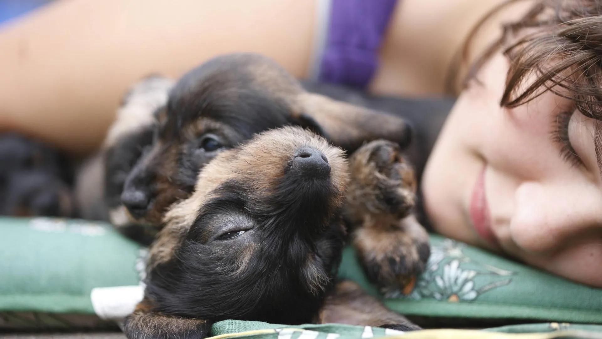 H. Schmidt-Roeger/blickwinkel