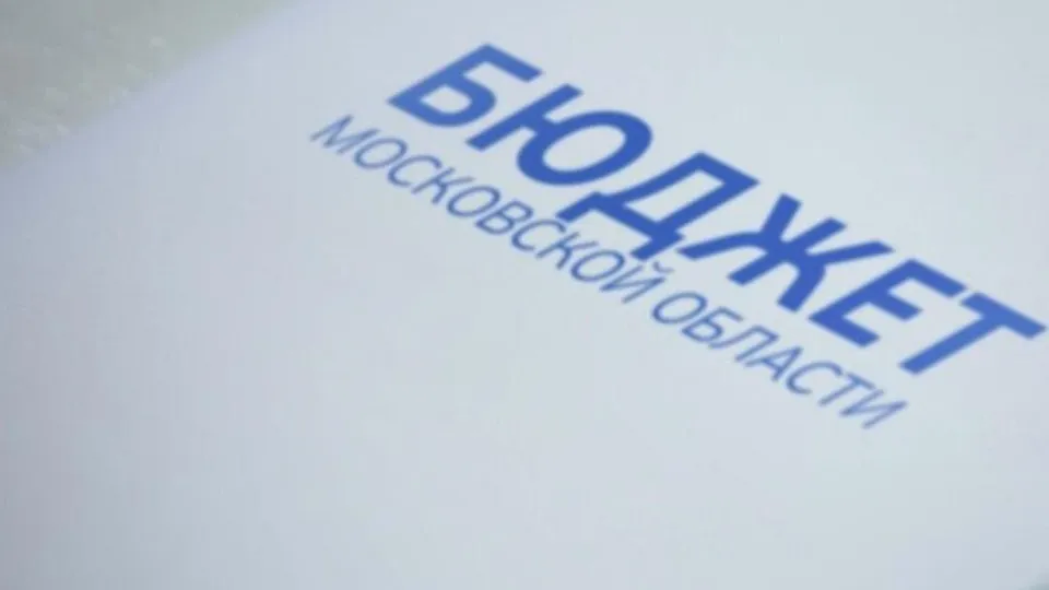 Фото: пресс-служба депутата Мособлдумы Жука В.П.