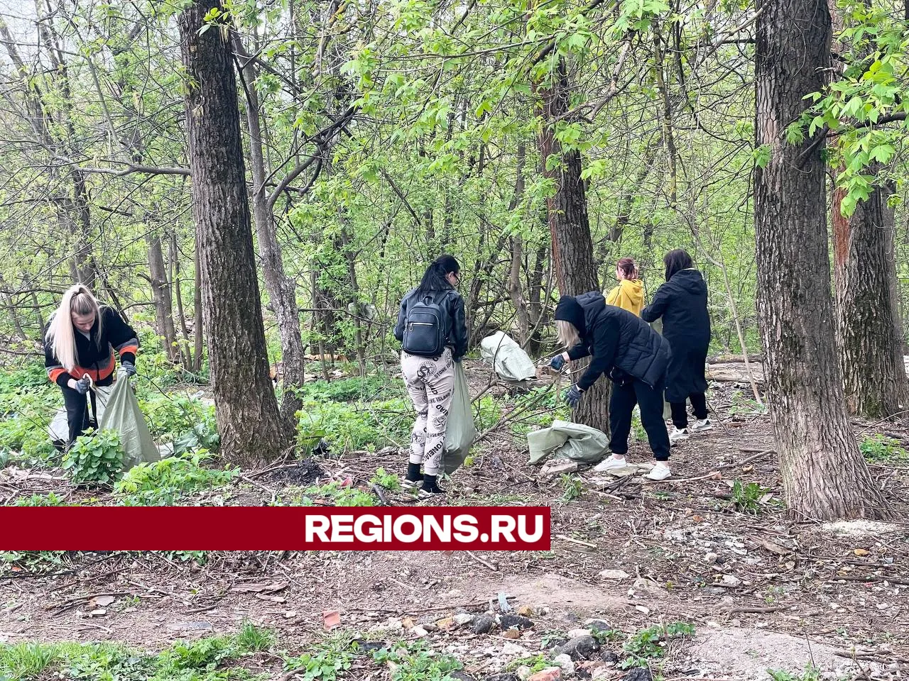 Фото: REGIONS/Дарья Леонова