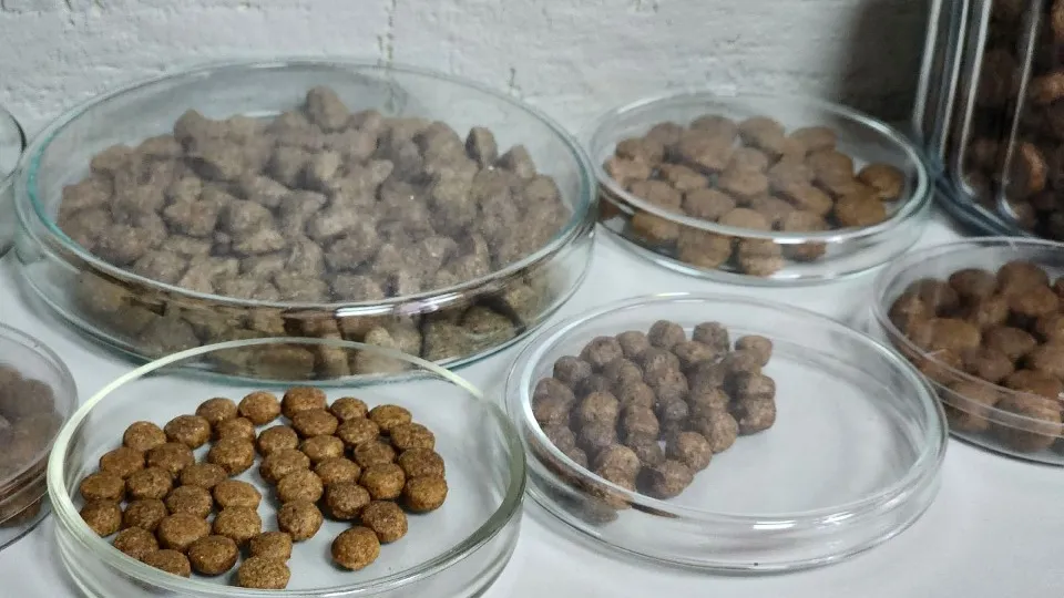 Фото: Елена Шумакова